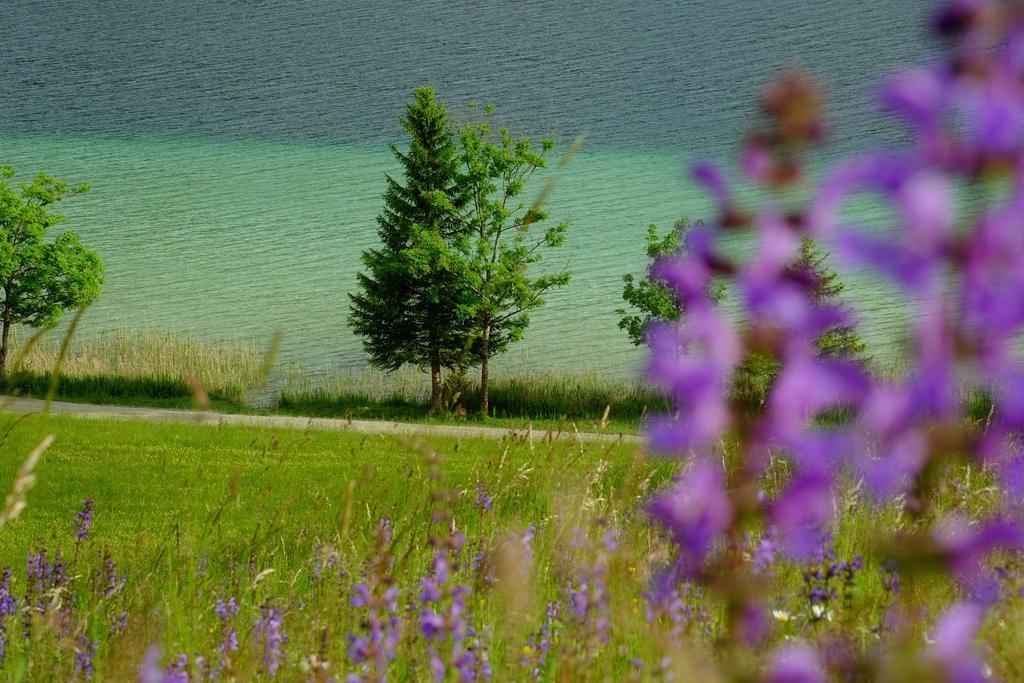 Draxl-Hof Ferienwohnungen Weissensee Luaran gambar